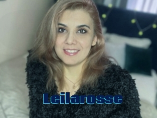 Leilarosse