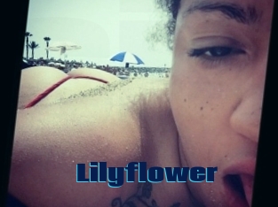 Lilyflower