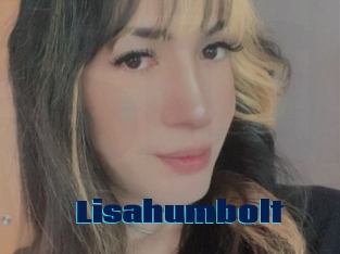 Lisahumbolt