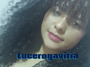 Lucerogaviria