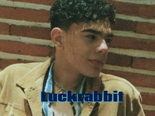 Luckrabbit