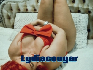 Lydiacougar