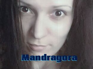 Mandragora