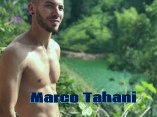Marco_Tahani