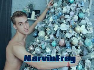 MarvinFrey