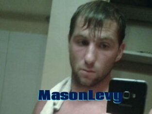 Mason_Levy