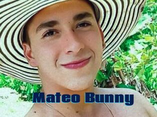 Mateo_Bunny