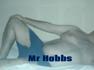 Mr_Hobbs