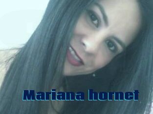 Mariana_hornet