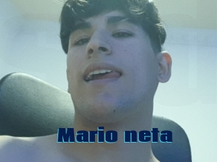 Mario_neta