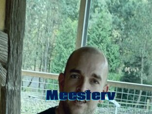 Meesterv