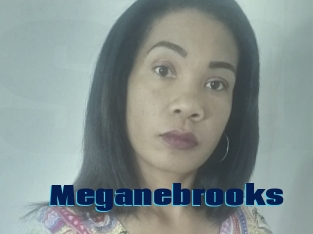 Meganebrooks