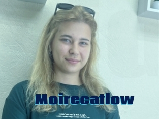 Moirecatlow