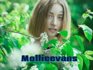 Mollieevans