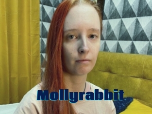 Mollyrabbit