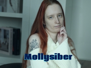 Mollysiber