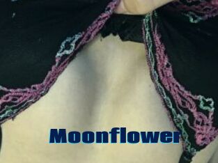 Moonflower