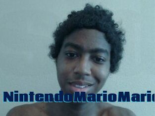 NintendoMarioMario