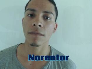 Noren_tor