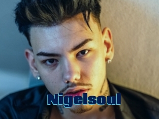 Nigelsoul