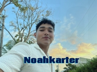 Noahkarter