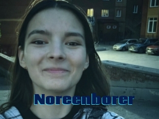 Noreenborer