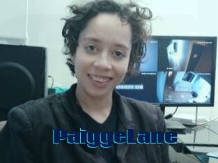 PaiggeLane