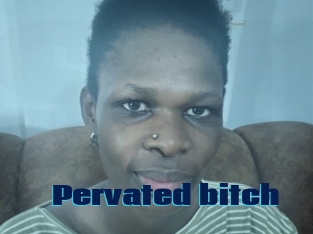 Pervated_bitch