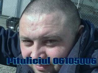 Pituliciul-06105006