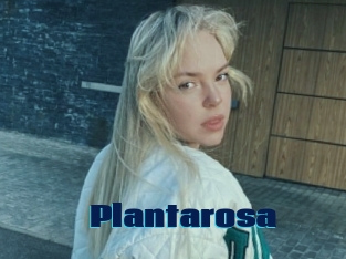 Plantarosa