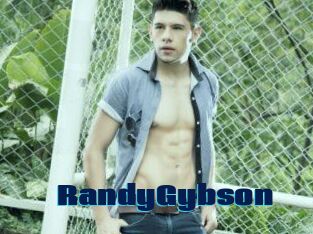 RandyGybson