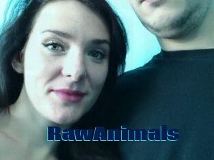 RawAnimals