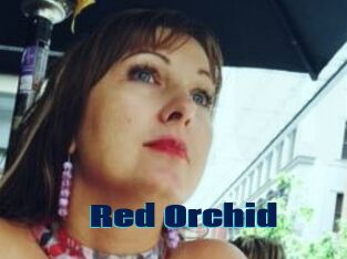 Red_Orchid