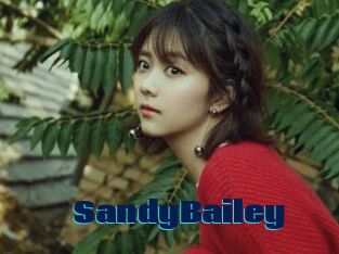 SandyBailey