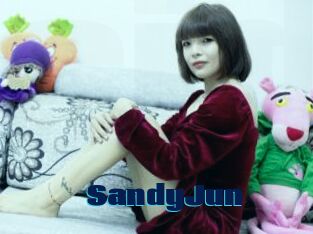 SandyJun