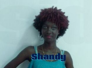 Shandy