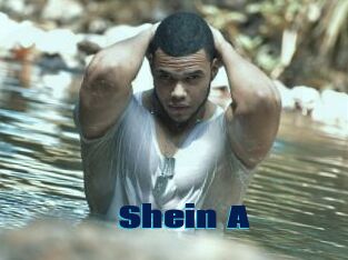 Shein_A