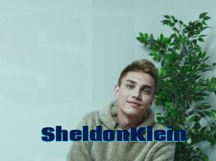 SheldonKlein