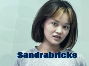 Sandrabricks