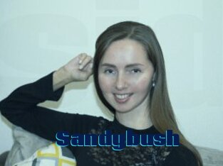 Sandybush