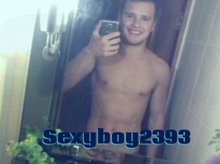 Sexyboy2393