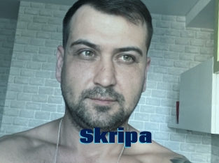 Skripa