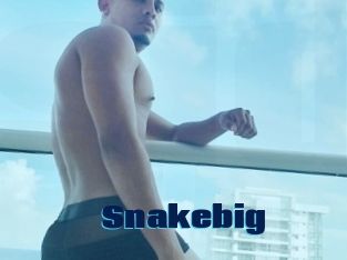 Snakebig