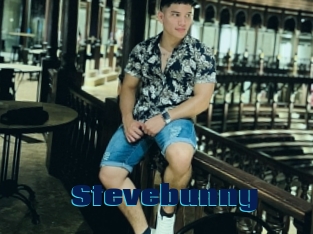 Stevebunny