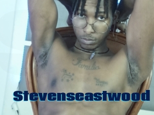 Stevenseastwood