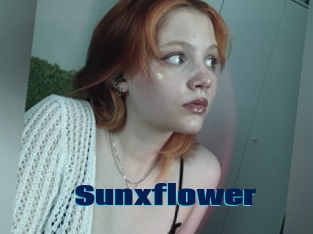 Sunxflower