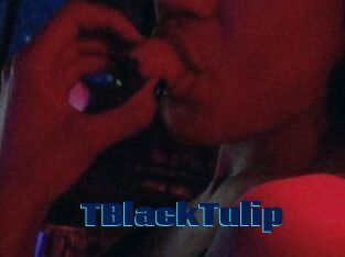 TBlackTulip