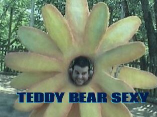 TEDDY_BEAR_SEXY