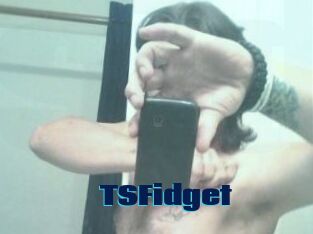 TSFidget