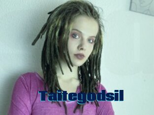 Taitegodsil